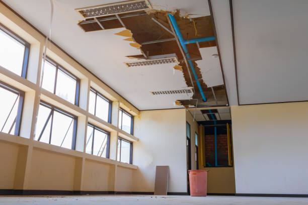 Best Local water damage restoration  in Antioch, CA