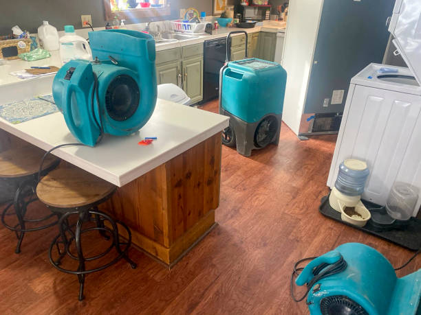 Best Water damage restoration experts  in Antioch, CA