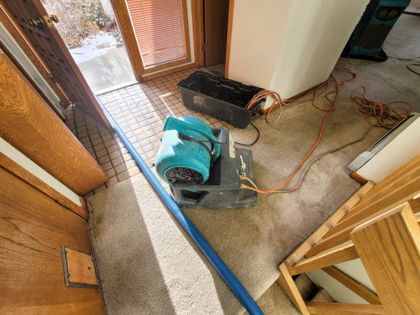 Best Water damage cleanup near me  in Antioch, CA