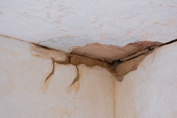 Best Sewage cleanup and water damage restoration  in Antioch, CA
