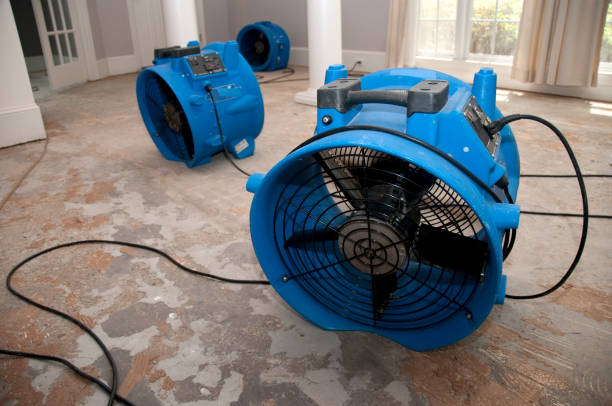 Best Water damage cleanup near me  in Antioch, CA