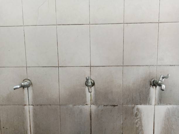 Best Carpet water damage restoration  in Antioch, CA