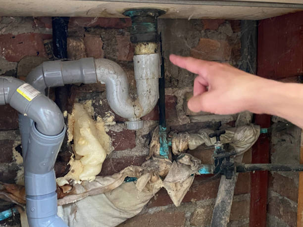 Best Water damage restoration near me  in Antioch, CA