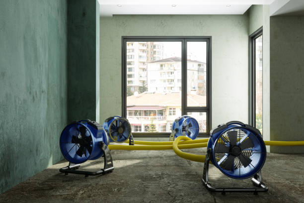 Best Water damage contractors near me  in Antioch, CA