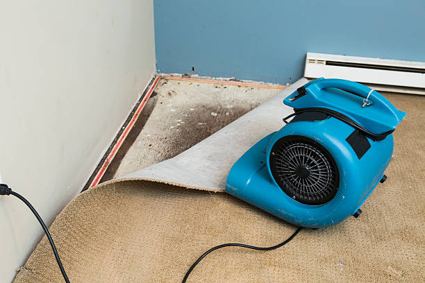 Best Fire Damage Restoration  in Antioch, CA